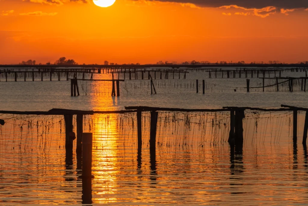 polskie biuro nieruchomości we Włoszech