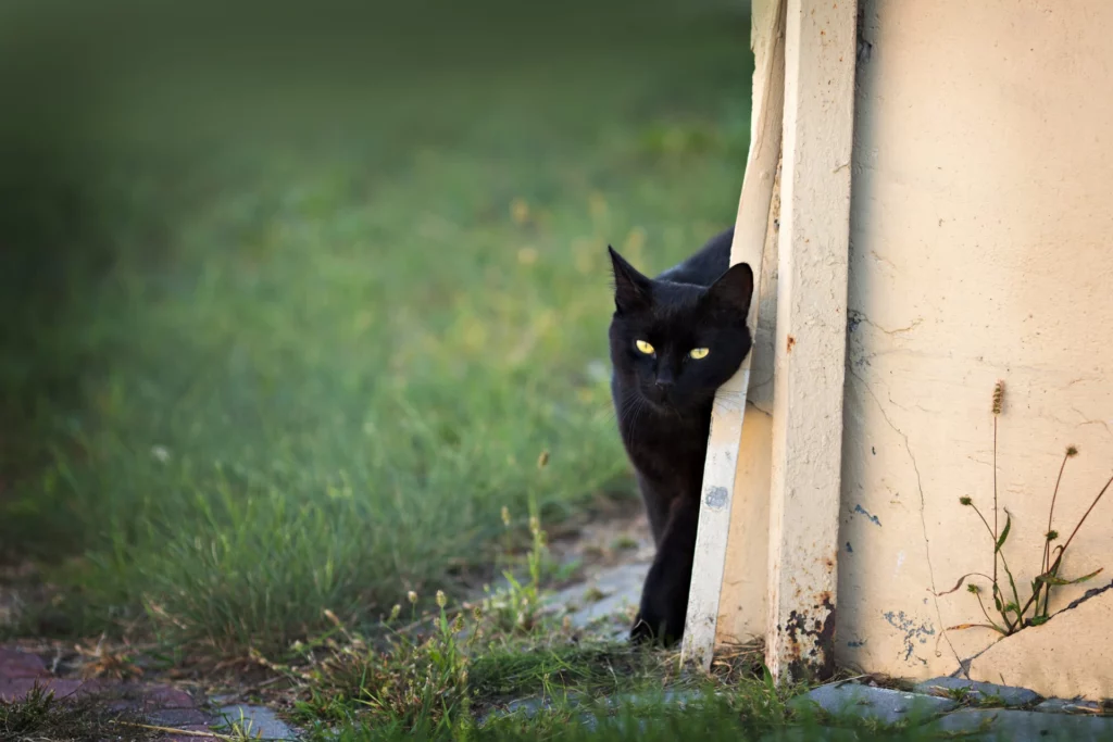 zakup nieruchomości we Włoszech, a piątek 17-ego